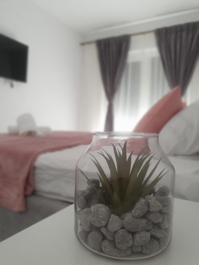 Ale House Apartment Oradea Bagian luar foto