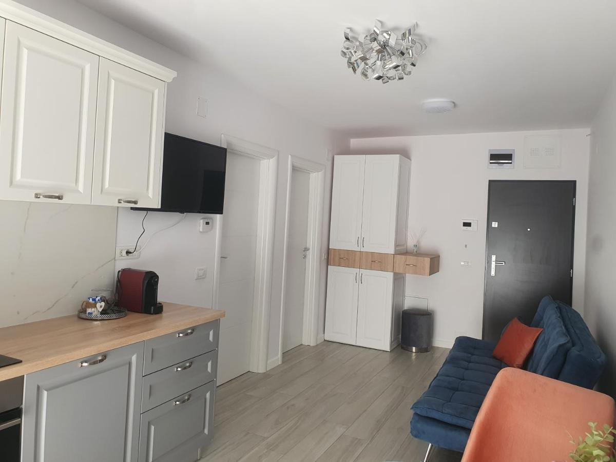 Ale House Apartment Oradea Bagian luar foto