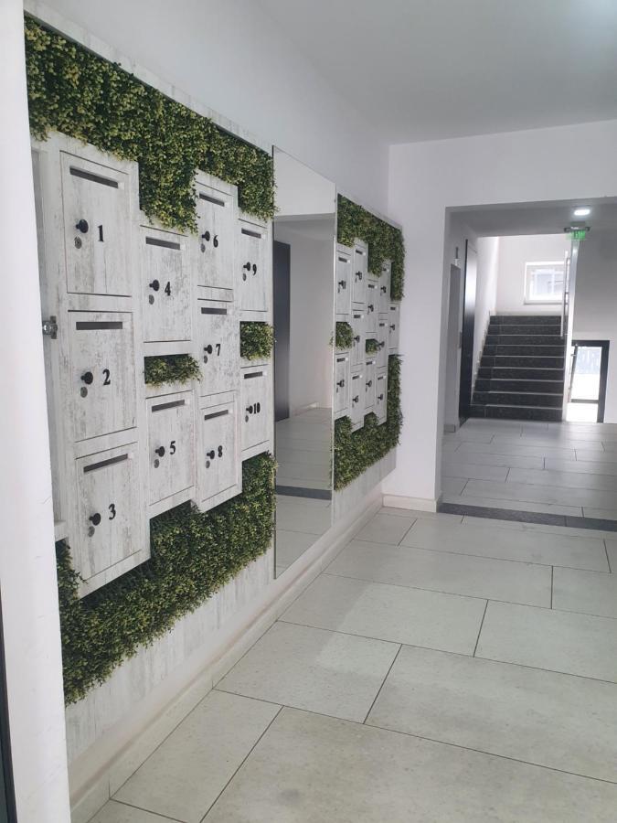 Ale House Apartment Oradea Bagian luar foto